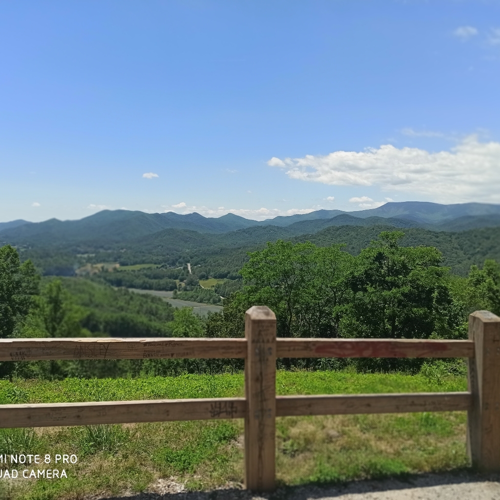 Meet your Posher, Zee